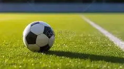 美高梅 (1888-MGM认证) 产品 124908 fij