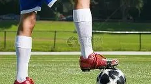 “虎鲸文娱开辟演艺人才发展新途径”