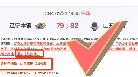 曼联报价求购加拉塔萨雷球员弗雷德