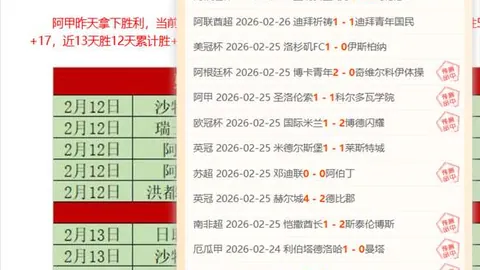 大乐透期号专家推荐：武汉三镇主场对国安质合分析及前区十码预测
